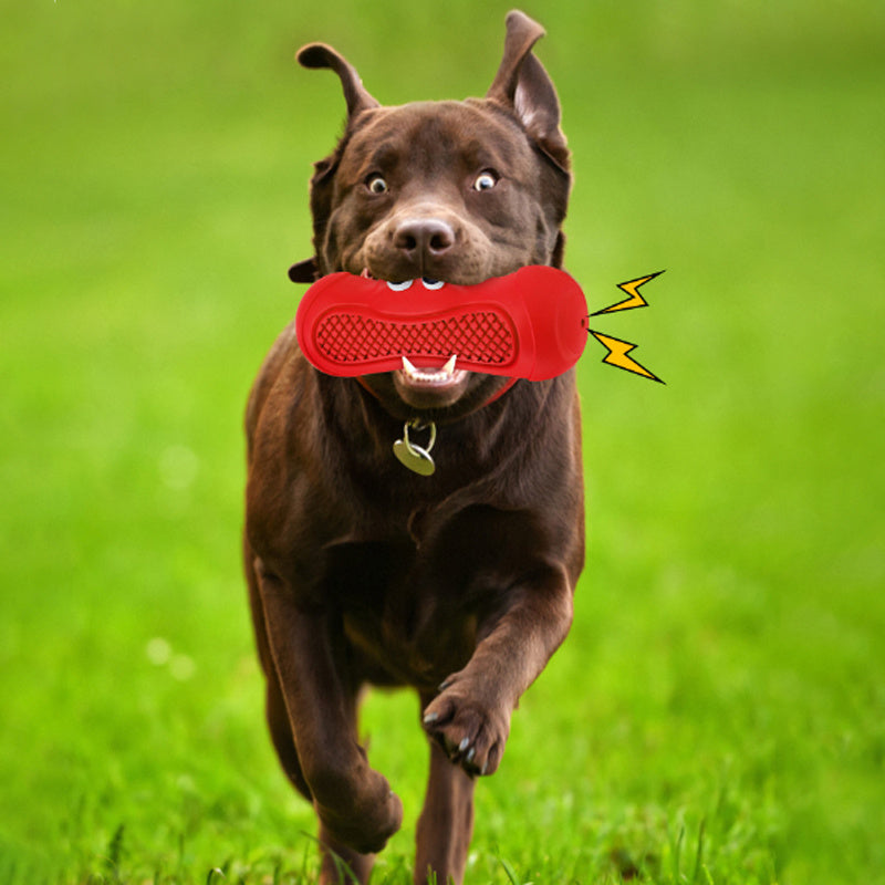Discover the Fun and Functional Benefits of Vocal Rugby Pet Toys