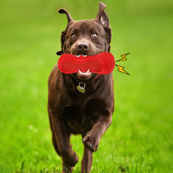 Discover the Fun and Functional Benefits of Vocal Rugby Pet Toys