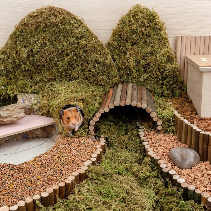 Bedding Djungarian Hamster Cage