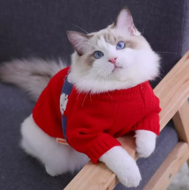 Anti Shedding Kittens And Pet