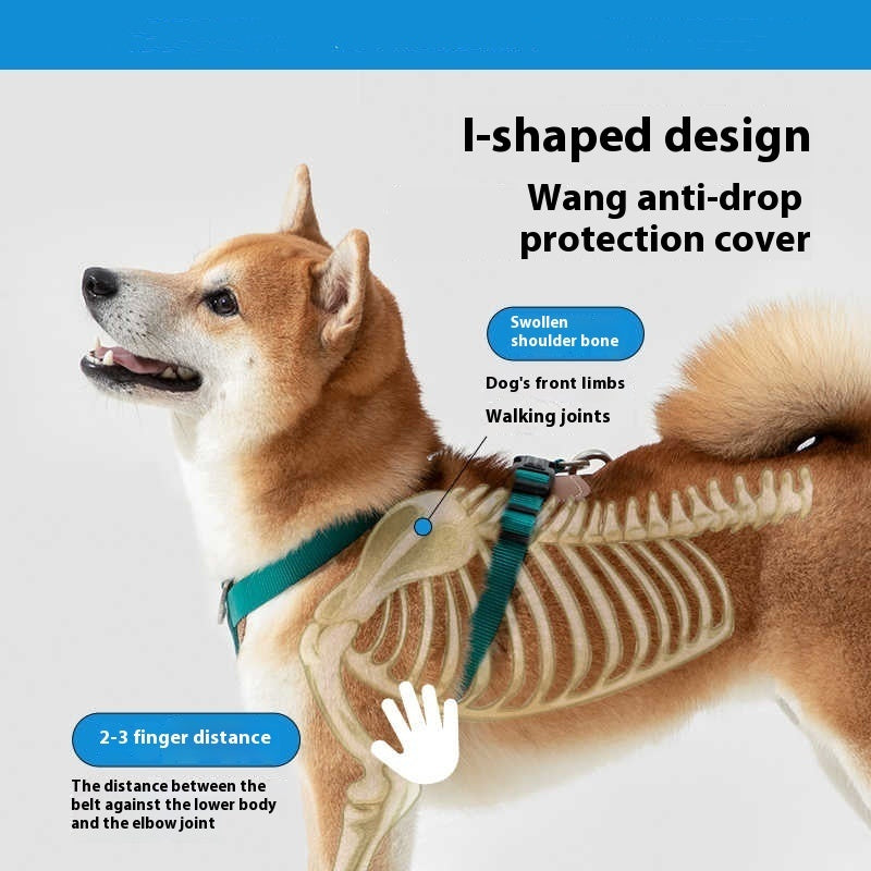 Dog Rope Leash Explosion-proof