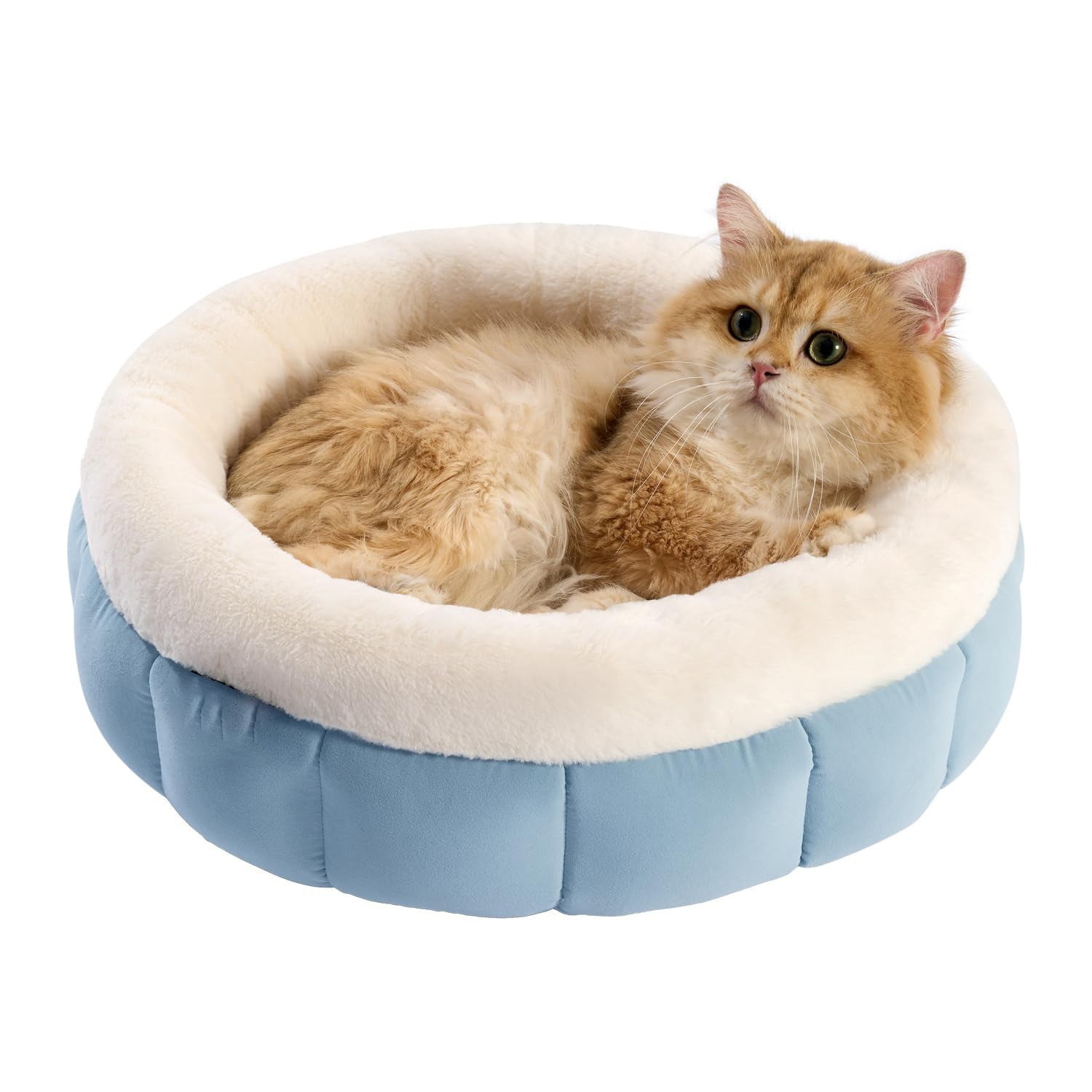 Donut Dog Beds For Small Dogs - Round Cat Beds