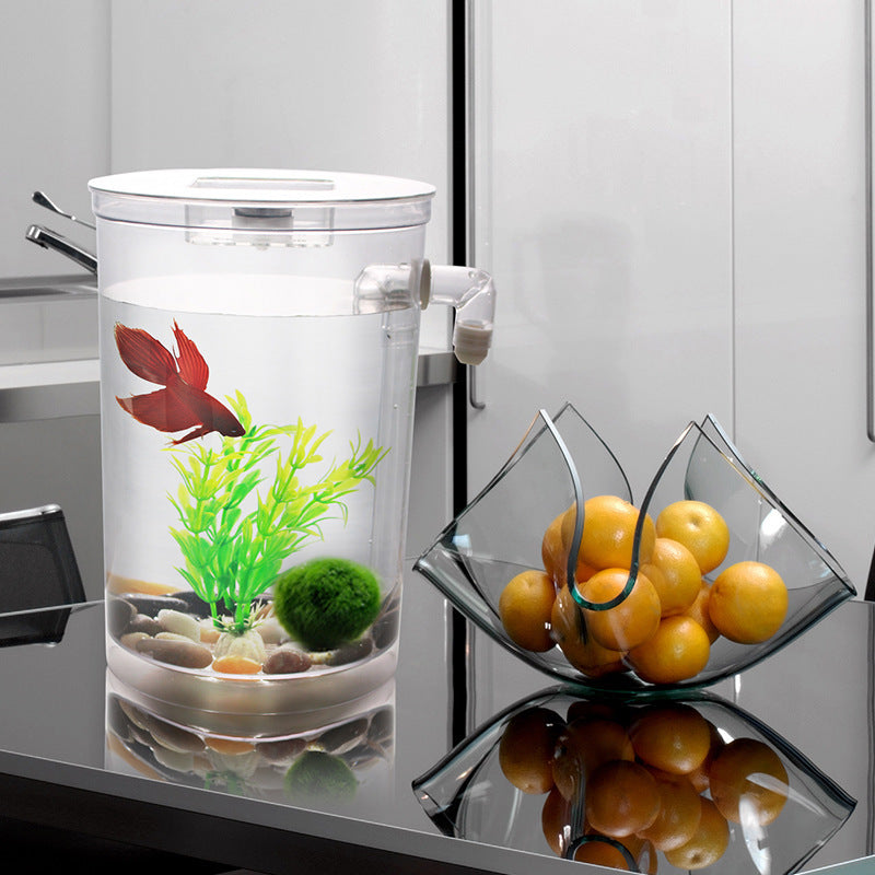 Plastic creative goldfish small aquarium fish tank