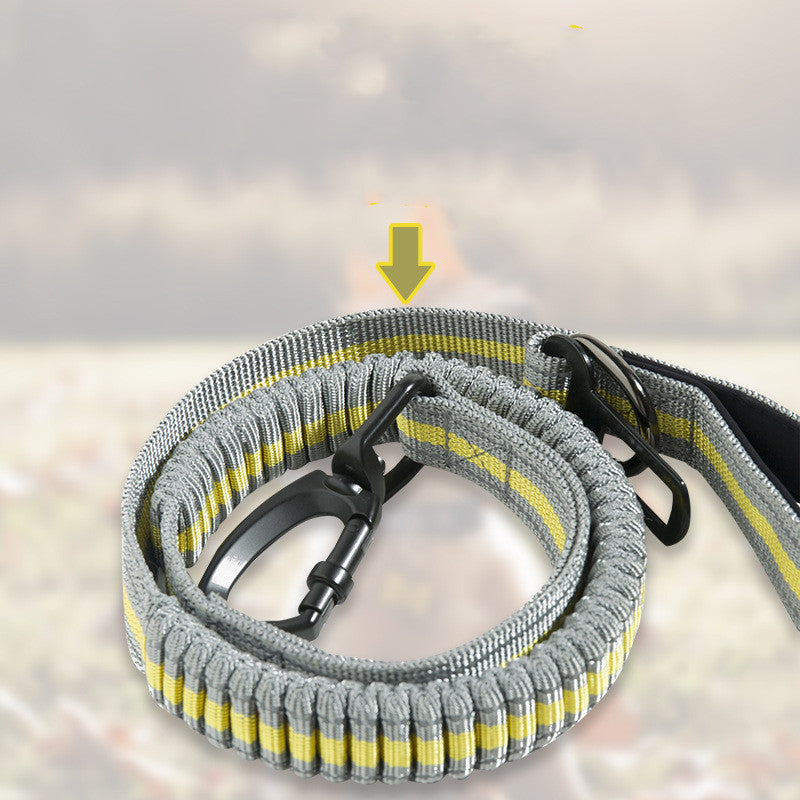 Punch Elastic Retractable Dog Leash