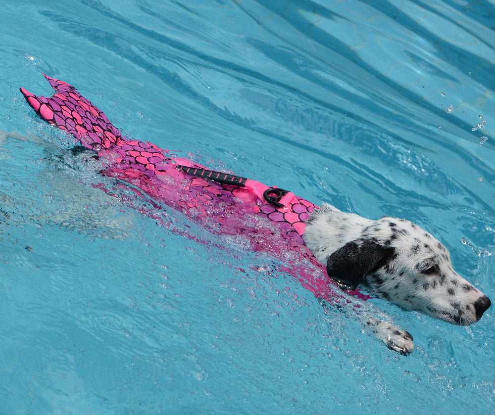 Mermaid Shark Pet Dog Swimming