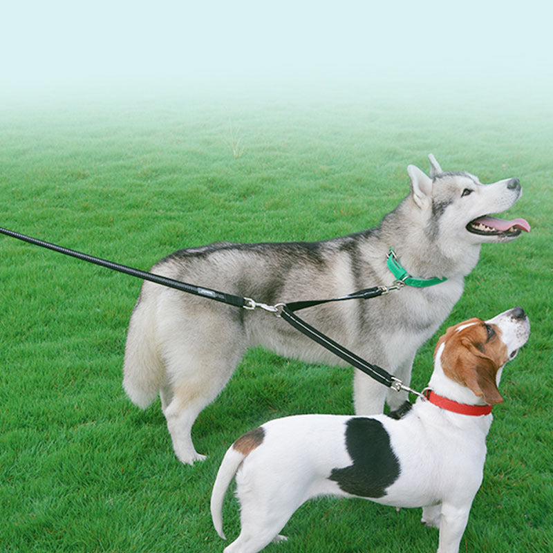 One-To-Two Nylon Dog Leash Reflective
