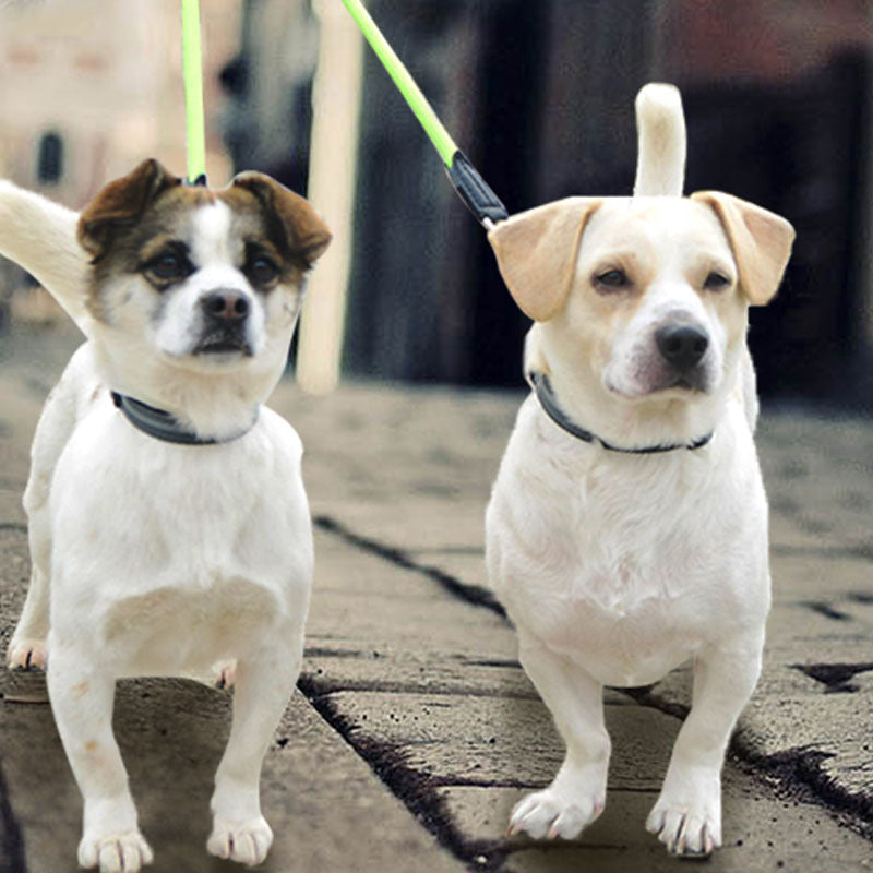One-To-Two Nylon Dog Leash Reflective