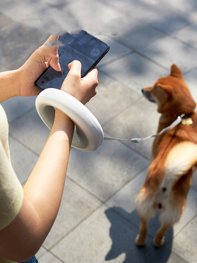 Meng Wangxing UFO Retractable Leash Dog
