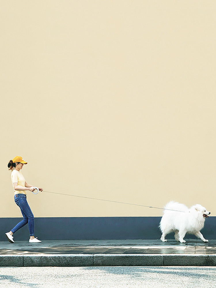 Meng Wangxing UFO Retractable Leash Dog