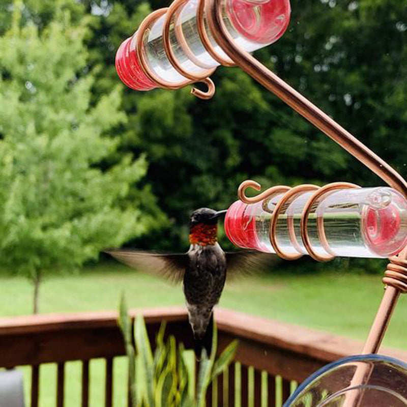 Garden Bird Feeder Supplies Feeder