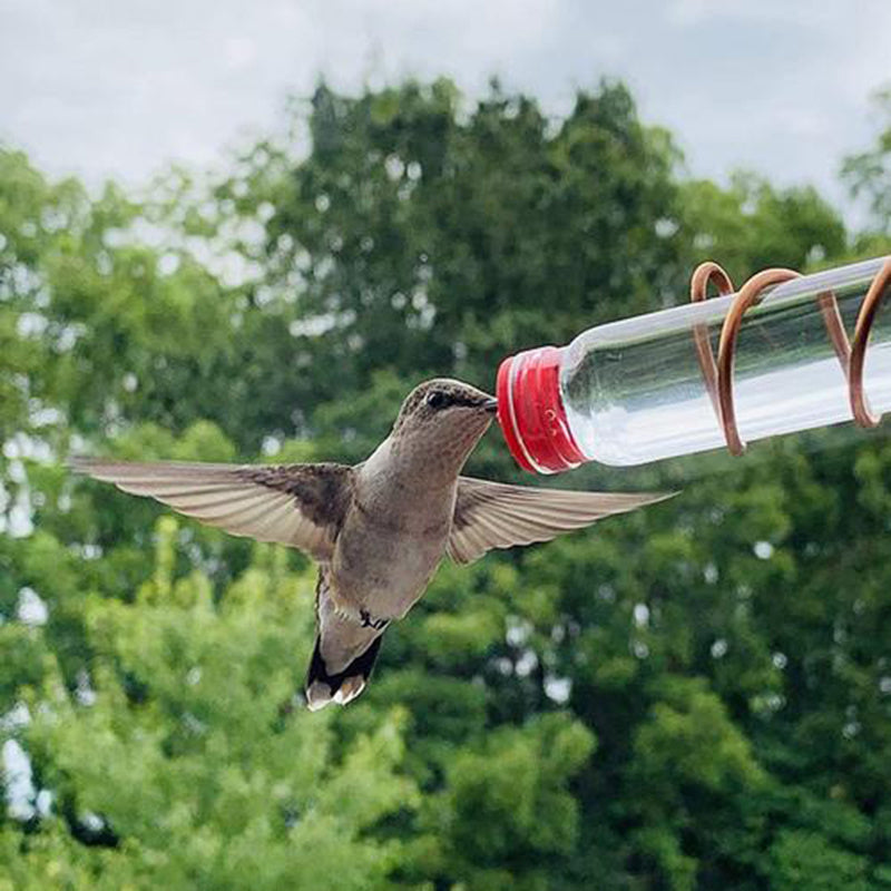Garden Bird Feeder Supplies Feeder
