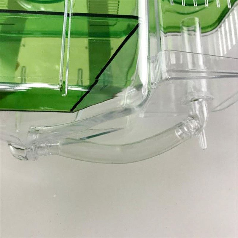 Hatching box guppy sick fish