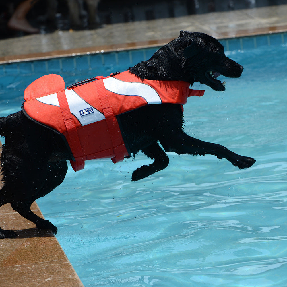 Mermaid Shark Pet Dog Swimming