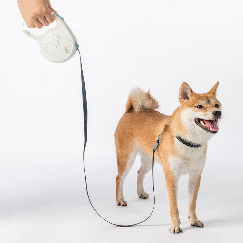 Pet Retractable Leash For Small
