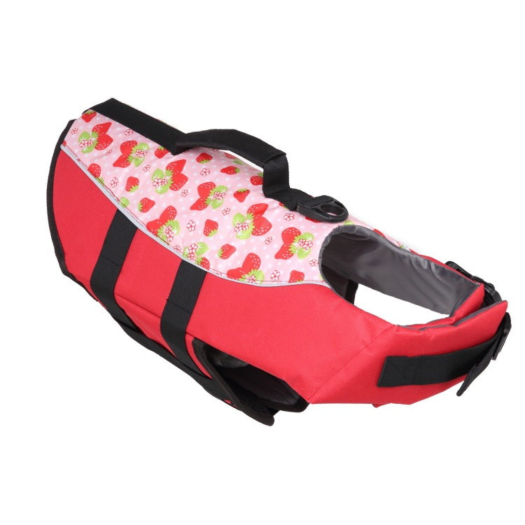 Mermaid Shark Pet Dog Swimming