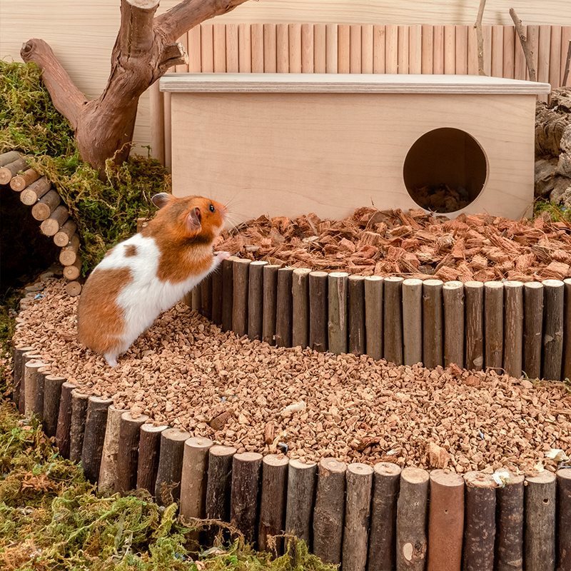 Bedding Djungarian Hamster Cage