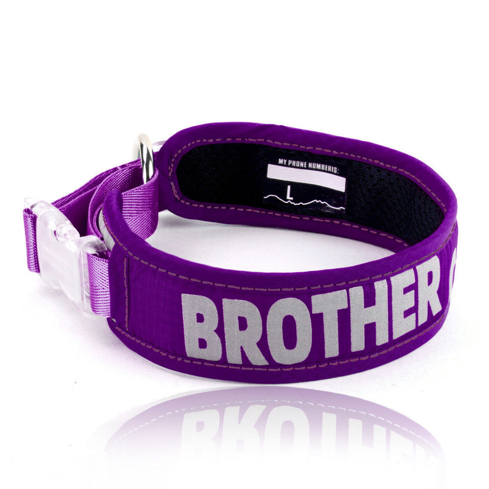 Explosion Proof Big Dog Chest Strap