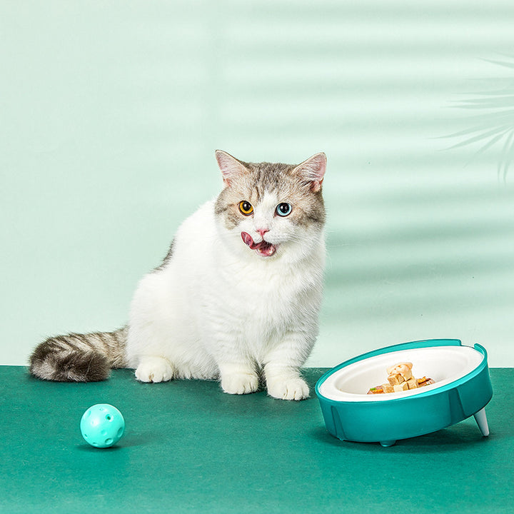 Cat Disposable Food Bowl Replaceable