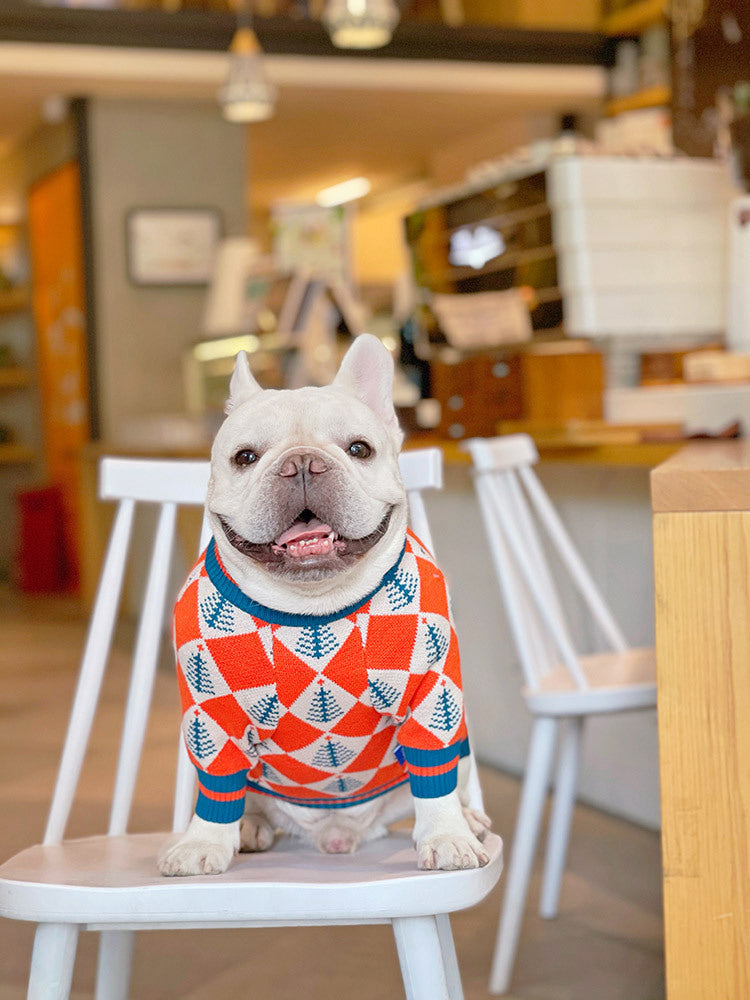 Fighting Sweater Cat And Dog Winter Clothes