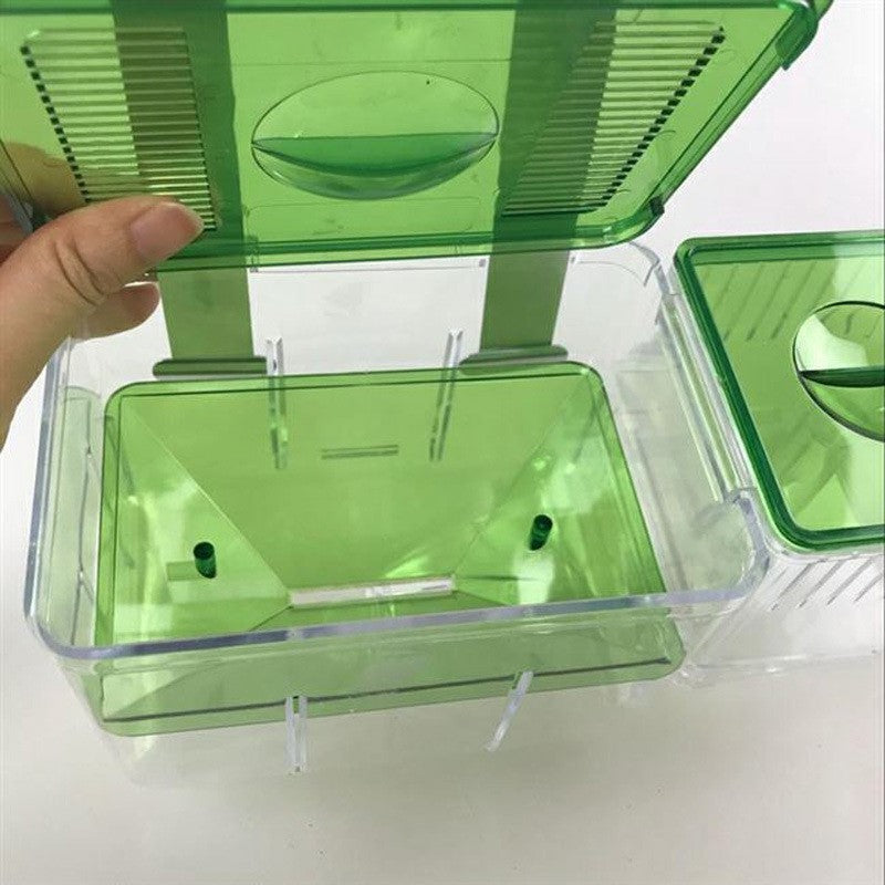 Hatching box guppy sick fish