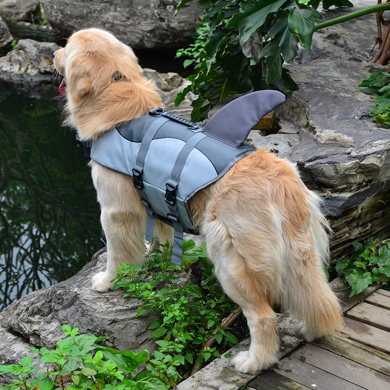 Mermaid Shark Pet Dog Swimming