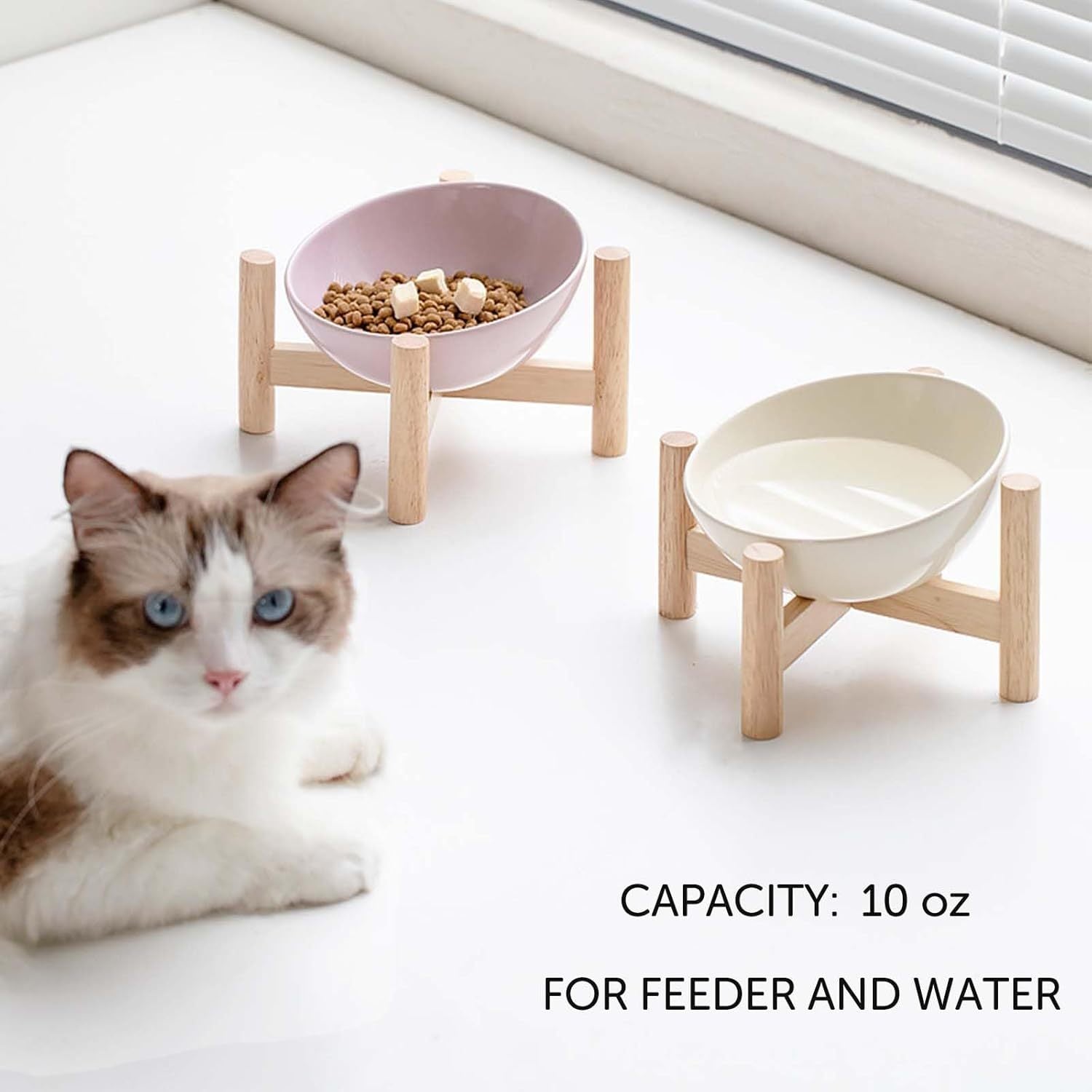 Elevated Raised Bowl For Indoor Cats