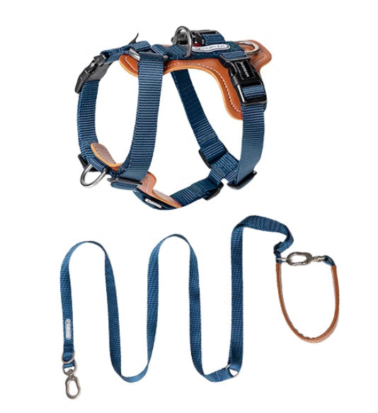 Dog Rope Leash Explosion-proof