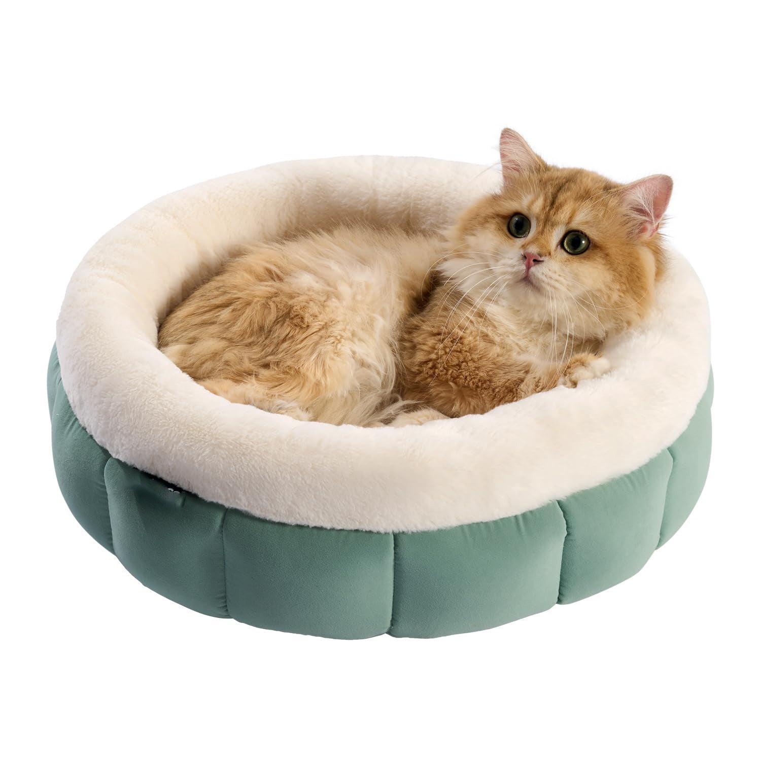 Donut Dog Beds For Small Dogs - Round Cat Beds