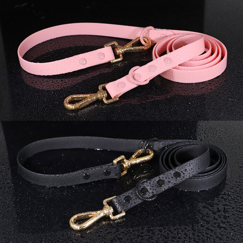 Collar Leash Medium Dog Teddy