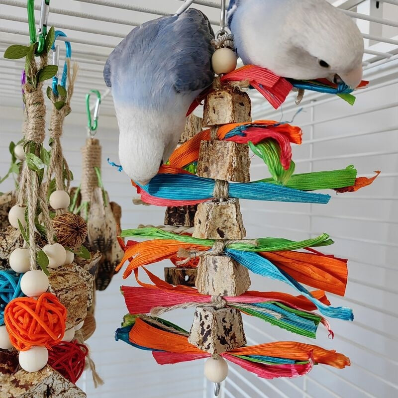 Parrot Toys Parrot Bite Supplies Bird