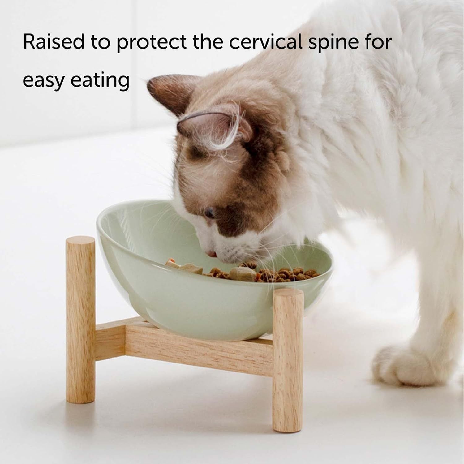 Elevated Raised Bowl For Indoor Cats