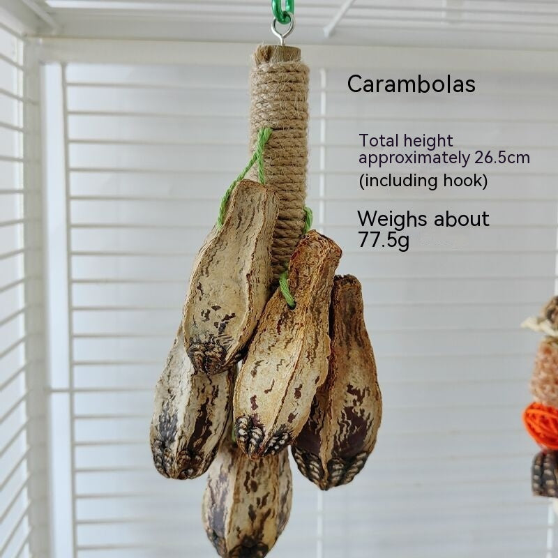 Parrot Toys Parrot Bite Supplies Bird