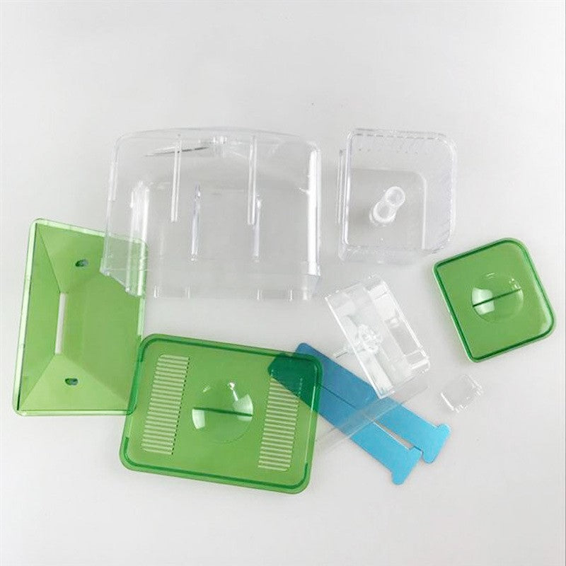 Hatching box guppy sick fish