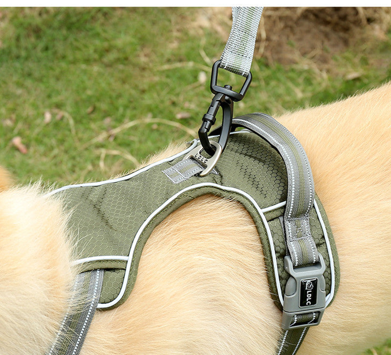 Punch Elastic Retractable Dog Leash