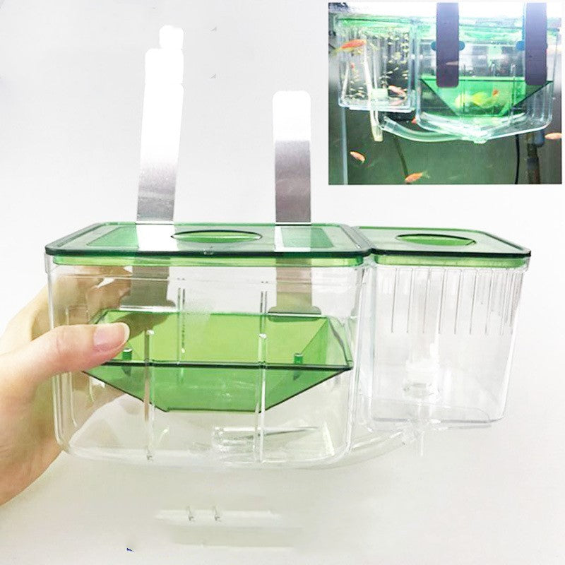 Hatching box guppy sick fish