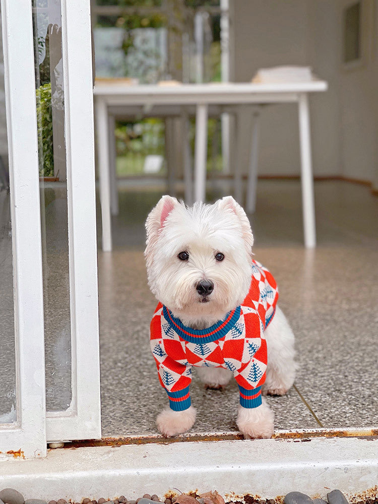 Fighting Sweater Cat And Dog Winter Clothes