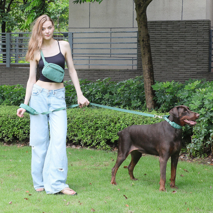 Chest And Back Dog Dog Backpack