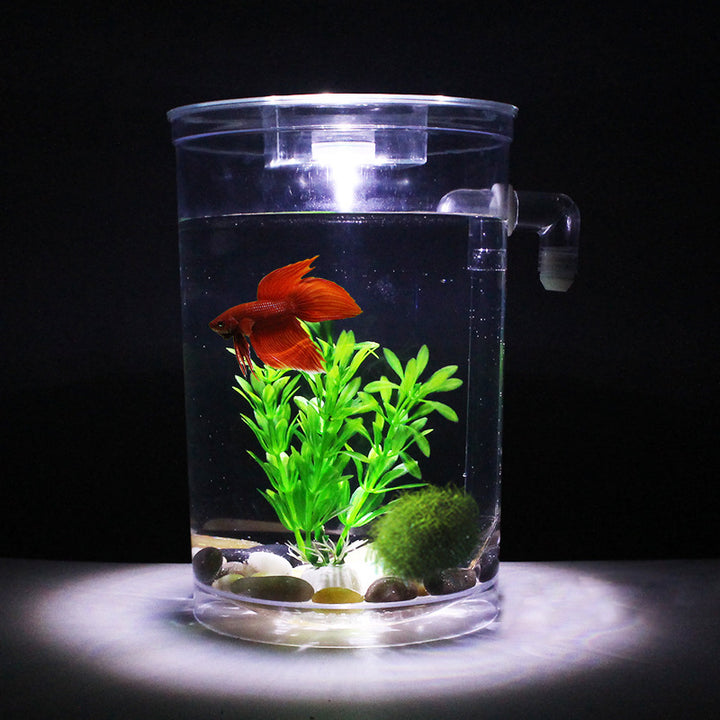 Plastic creative goldfish small aquarium fish tank