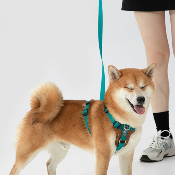 Dog Rope Leash Explosion-proof