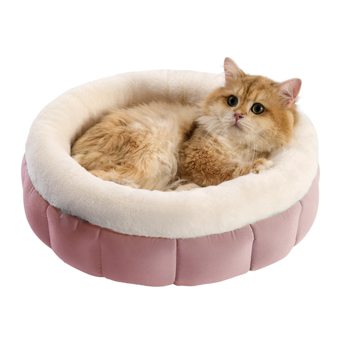 Donut Dog Beds For Small Dogs - Round Cat Beds