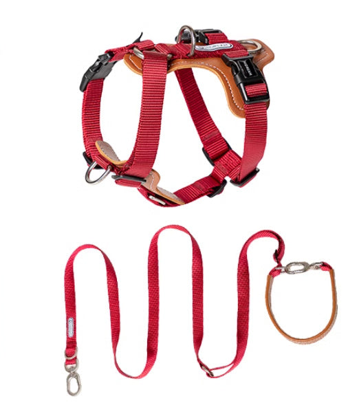 Dog Rope Leash Explosion-proof