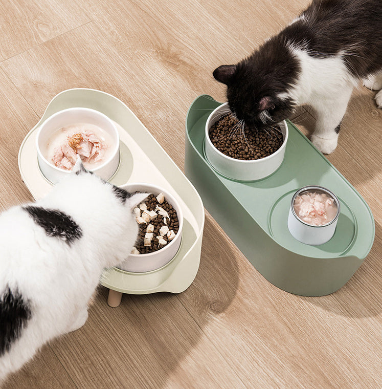 Pet Bowl Tilted Cat Double Bowls
