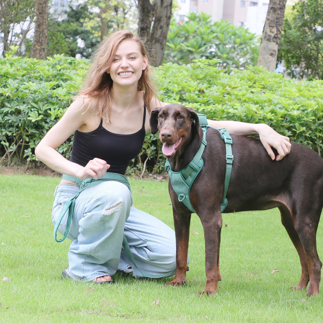 Chest And Back Dog Dog Backpack
