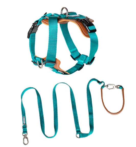 Dog Rope Leash Explosion-proof
