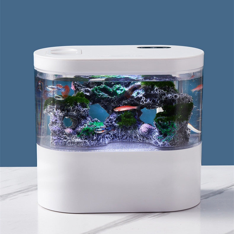 Aquarium Ecological Desktop Fish Tank