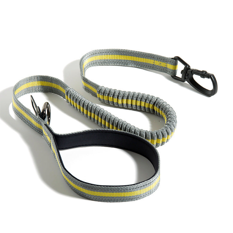 Punch Elastic Retractable Dog Leash