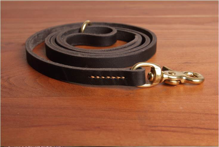 Cowhide Chain Teddy Gold Hair