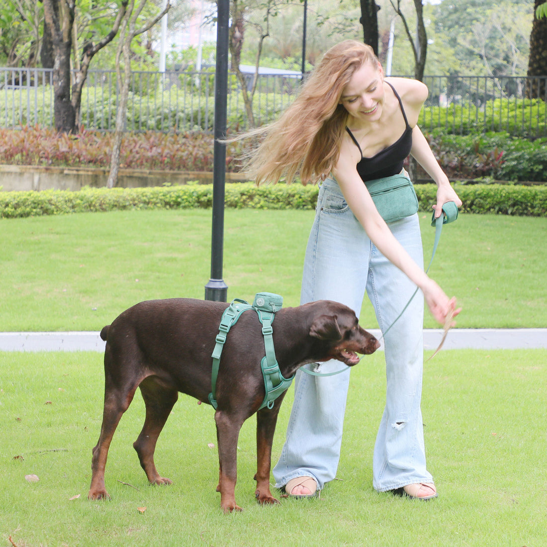 Chest And Back Dog Dog Backpack