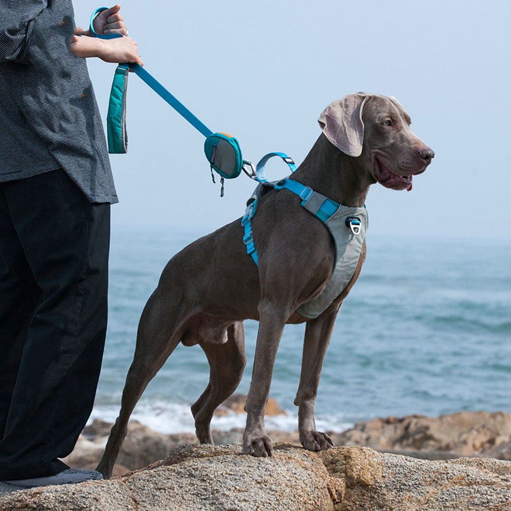 Explosion Proof Big Dog Chest Strap