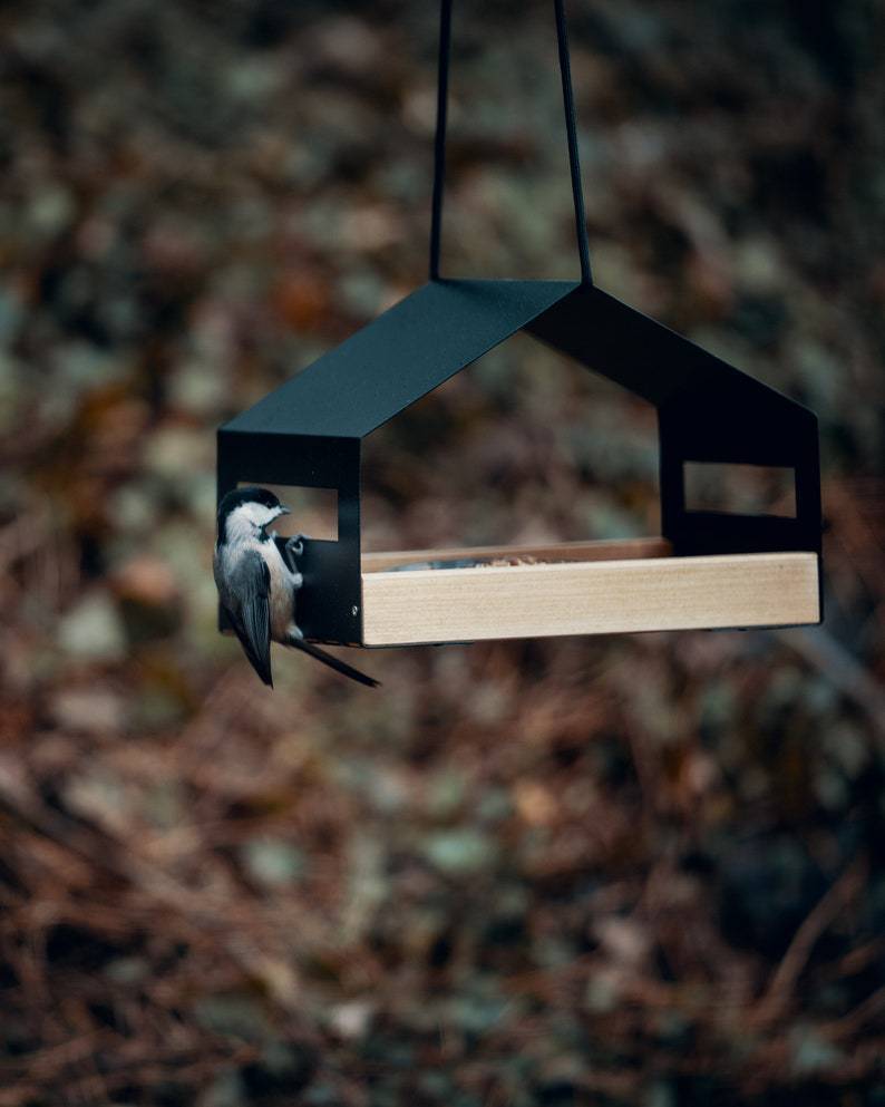 Garden Decoration Hanging Bird Feeder